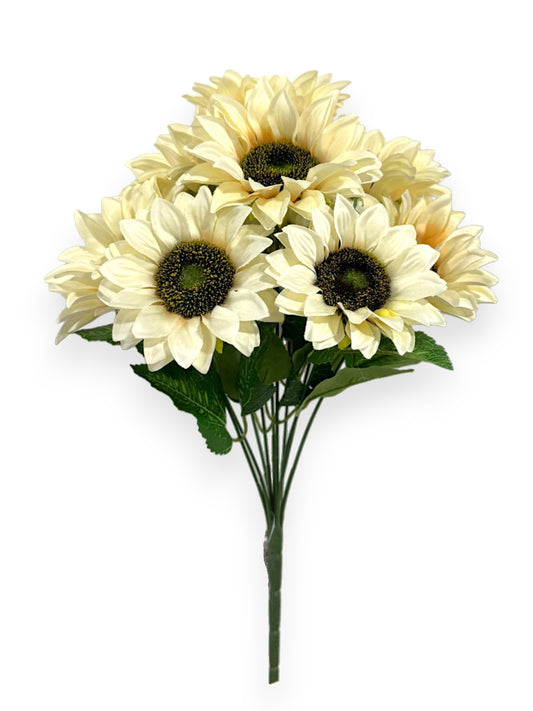 SUNFLOWER BUSHX10
