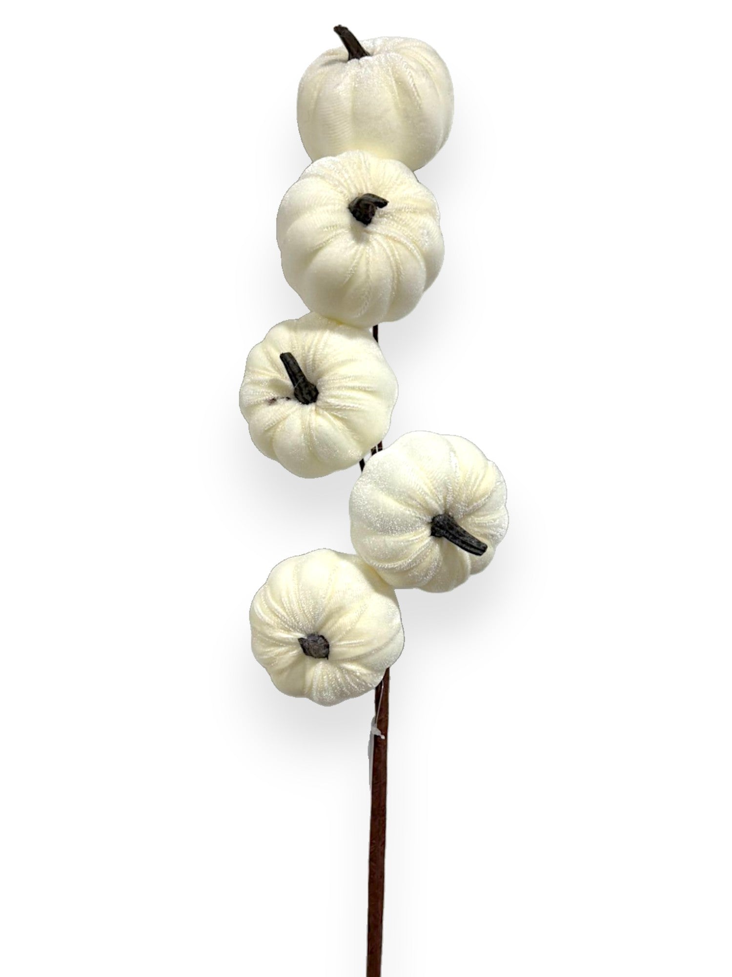 PUMPKIN SPRAY 25"