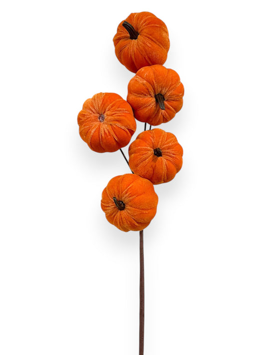 PUMPKIN SPRAY 25"