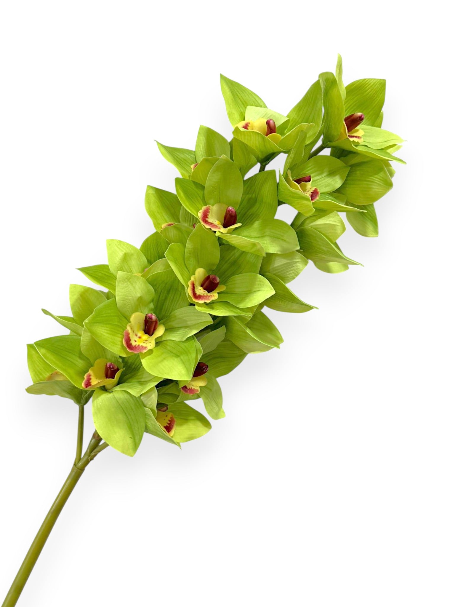 Cymbidium Orchid Stem 42"