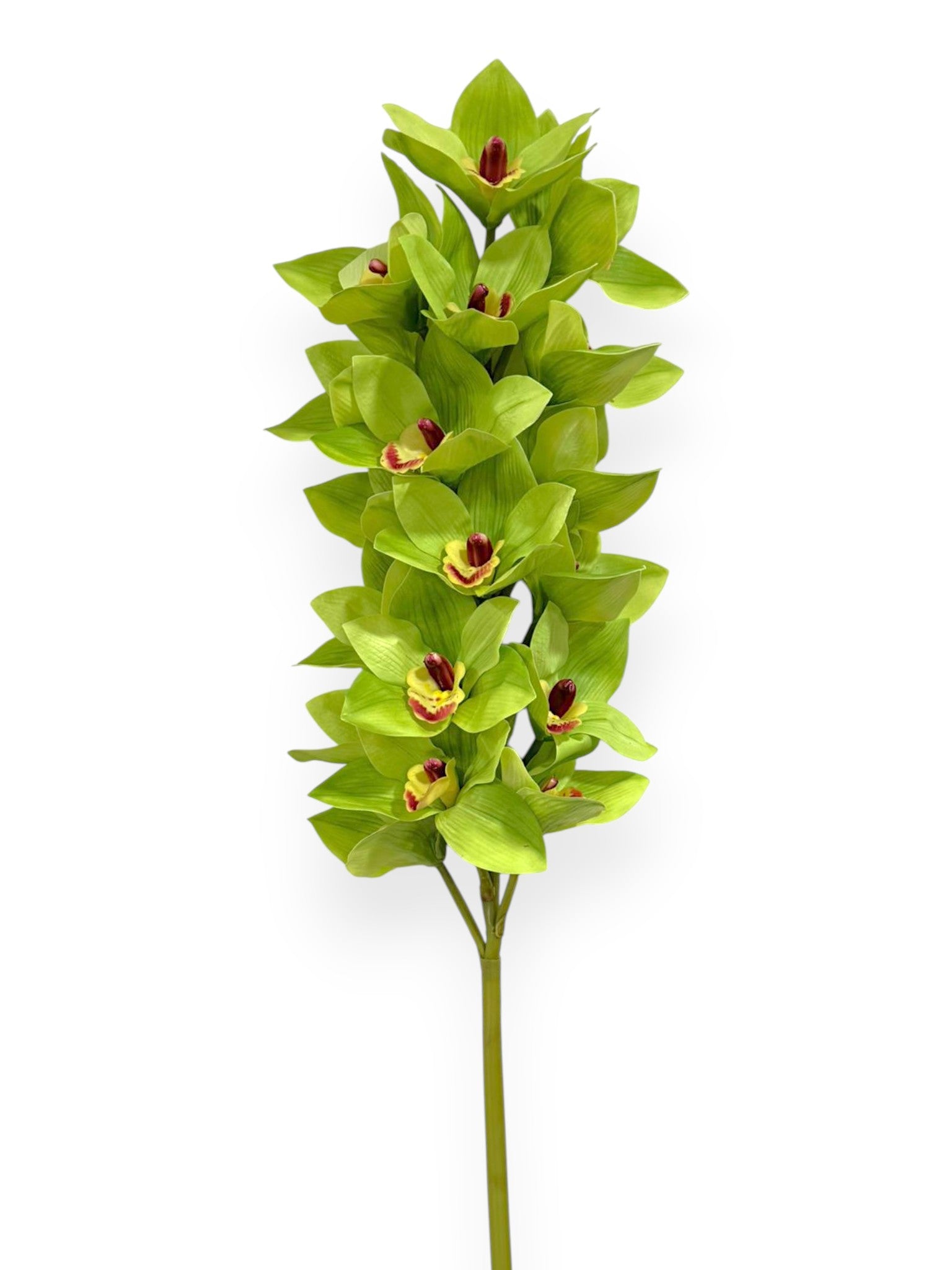 Cymbidium Orchid Stem 42"
