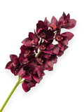 Cymbidium Orchid Stem 42"