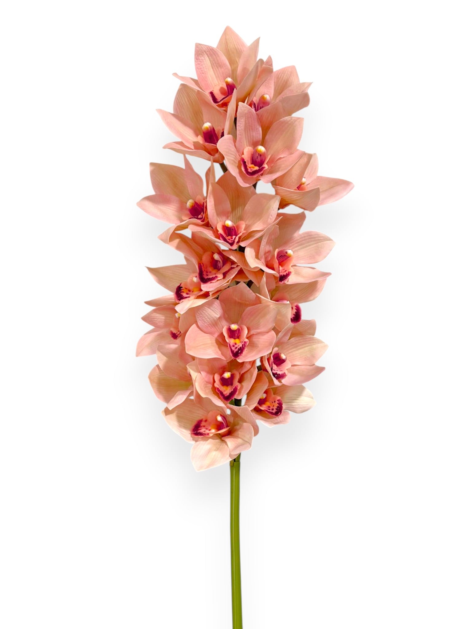Cymbidium Orchid Stem 42"