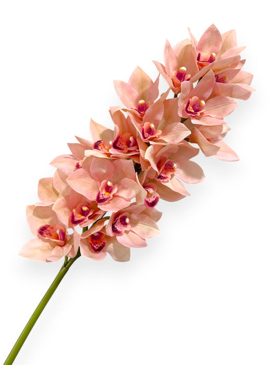 Cymbidium Orchid Stem 42"