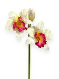 Cattleya Orchid 22"