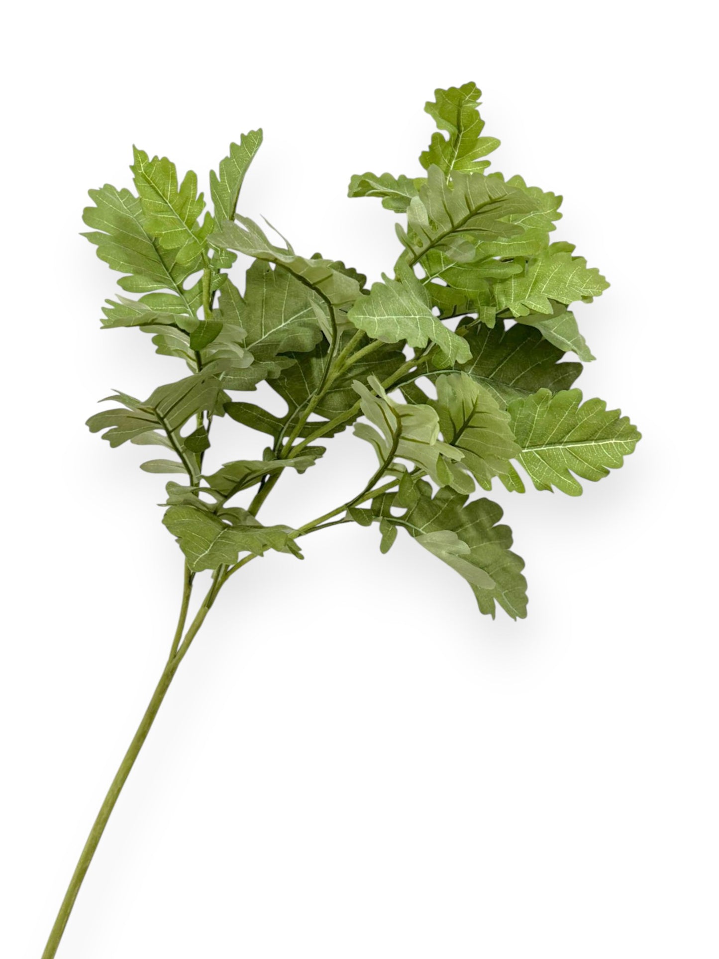 Dusty Miller Spray – 28 inches