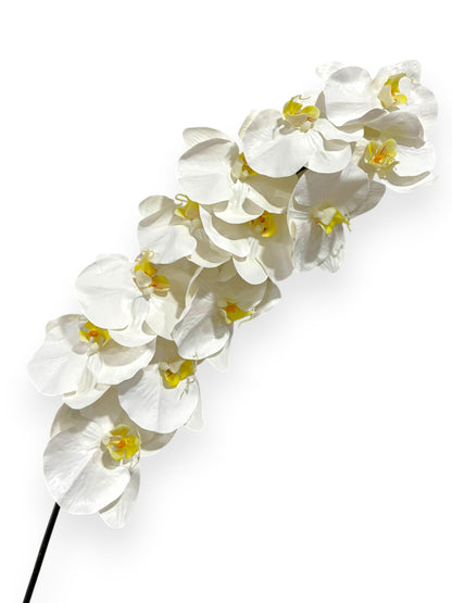 Phalaenopsis Orchid Spray 42"