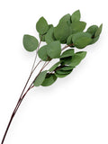 Heart Eucalyptus Spray – 31 inches