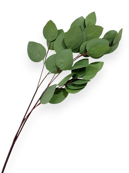 Heart Eucalyptus Spray – 31 inches