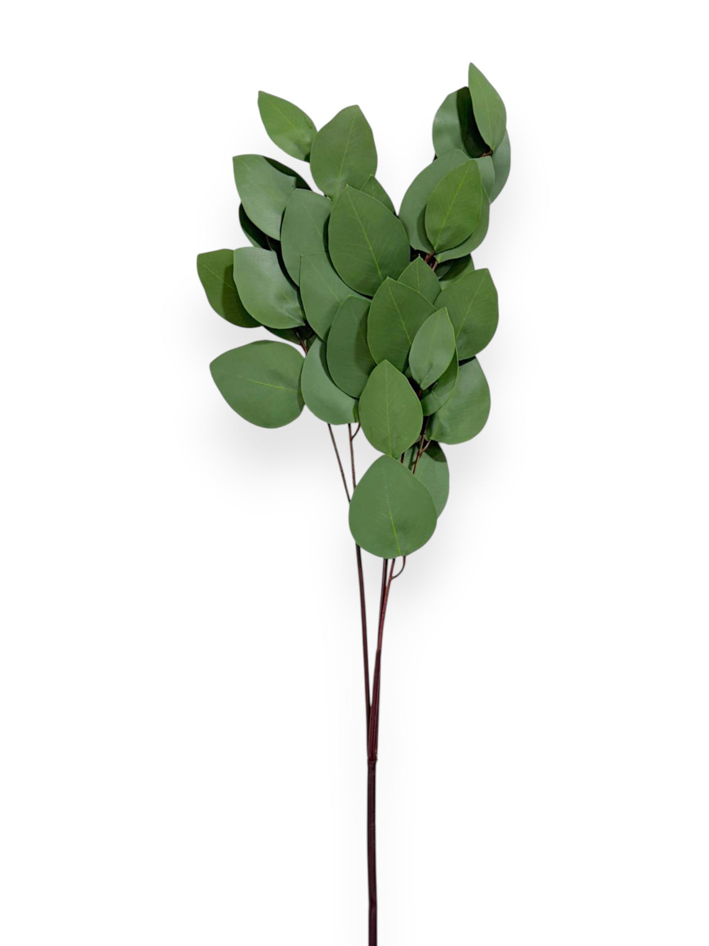 Heart Eucalyptus Spray – 31 inches