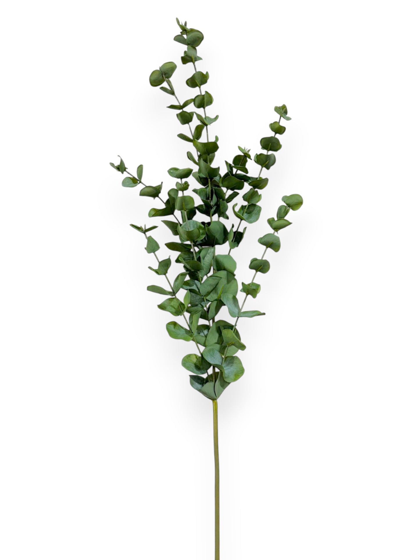 Round Eucalyptus Spray – 39 inches