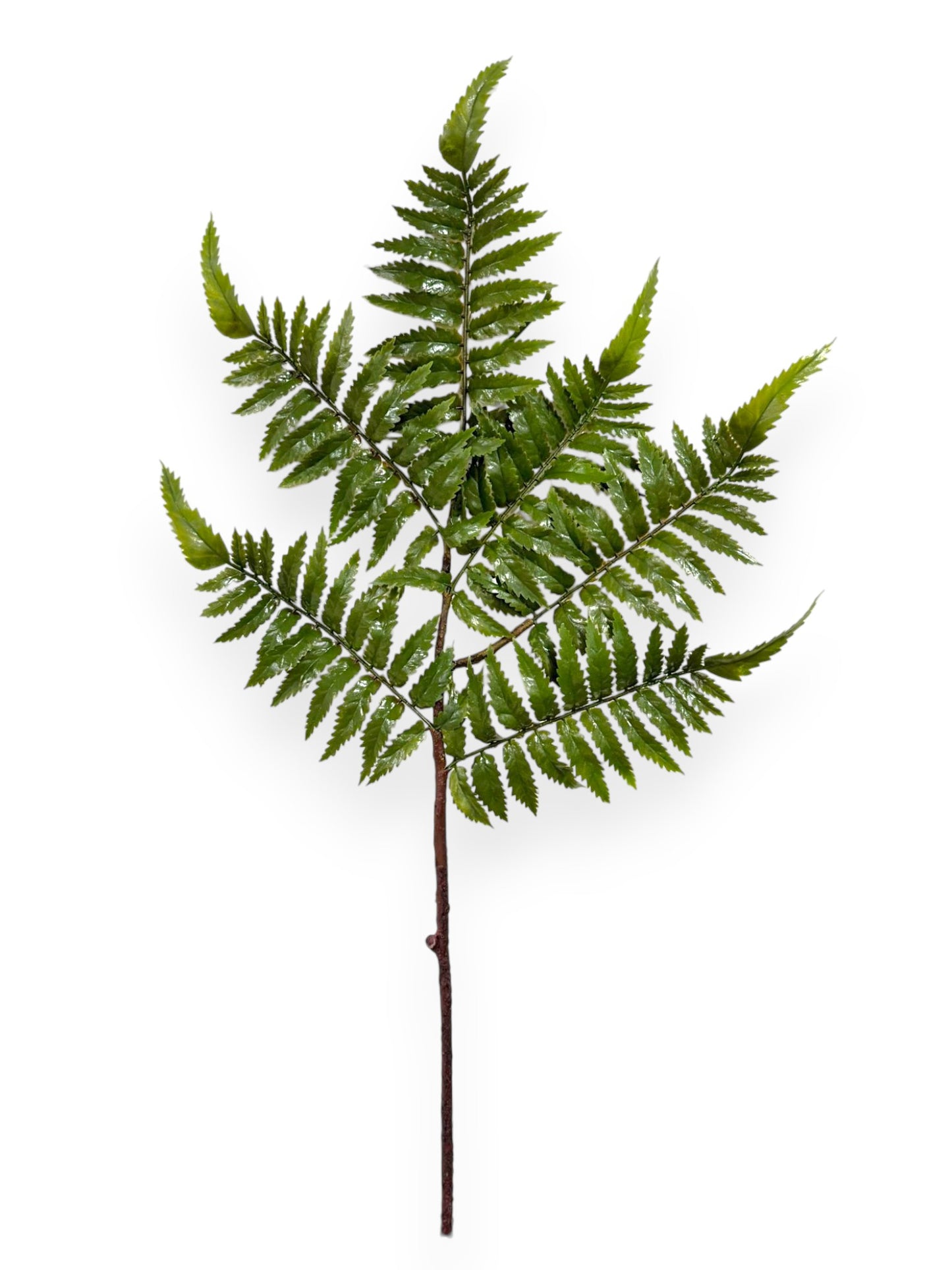 Fern Leaf Spray 22"