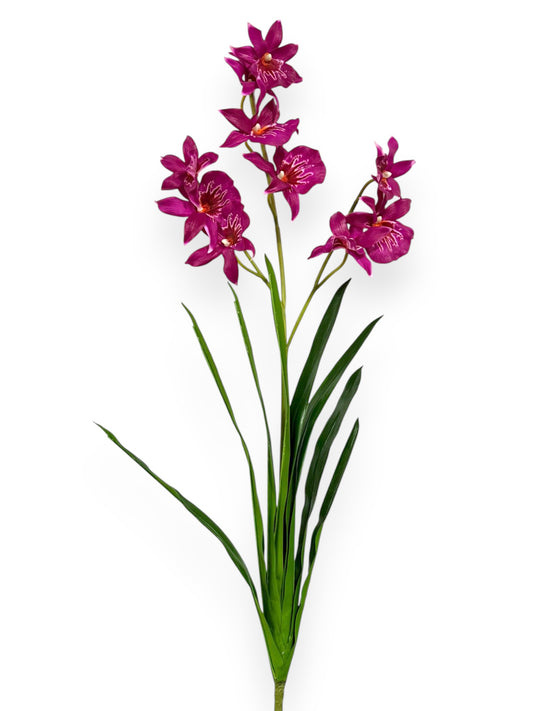 Cymbidium Orchid 30"