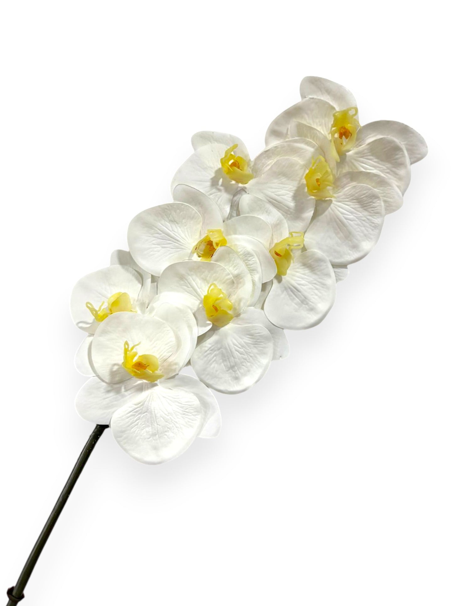 Orchid Phalaenopsis Stem 34"