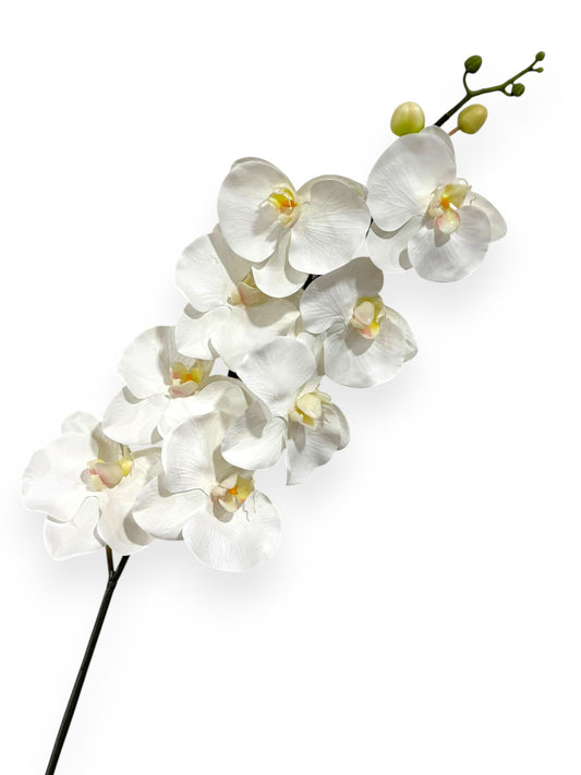 Orchid Phalaenopsis Stem 45"