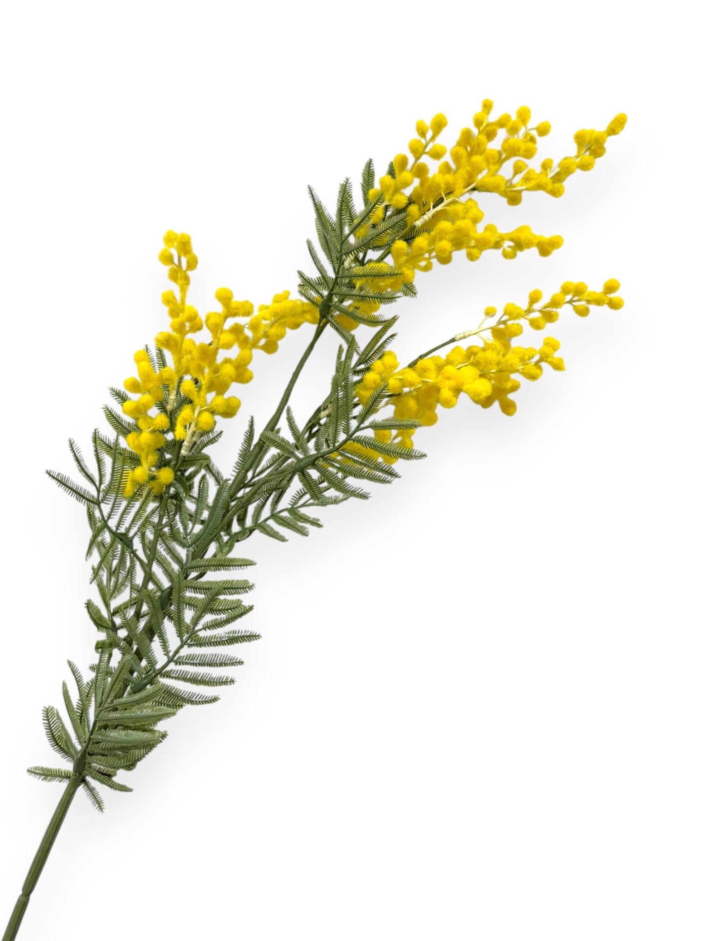 Mimosa Spray Stem