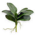Orchid Phalaenopsis Foliage 13"