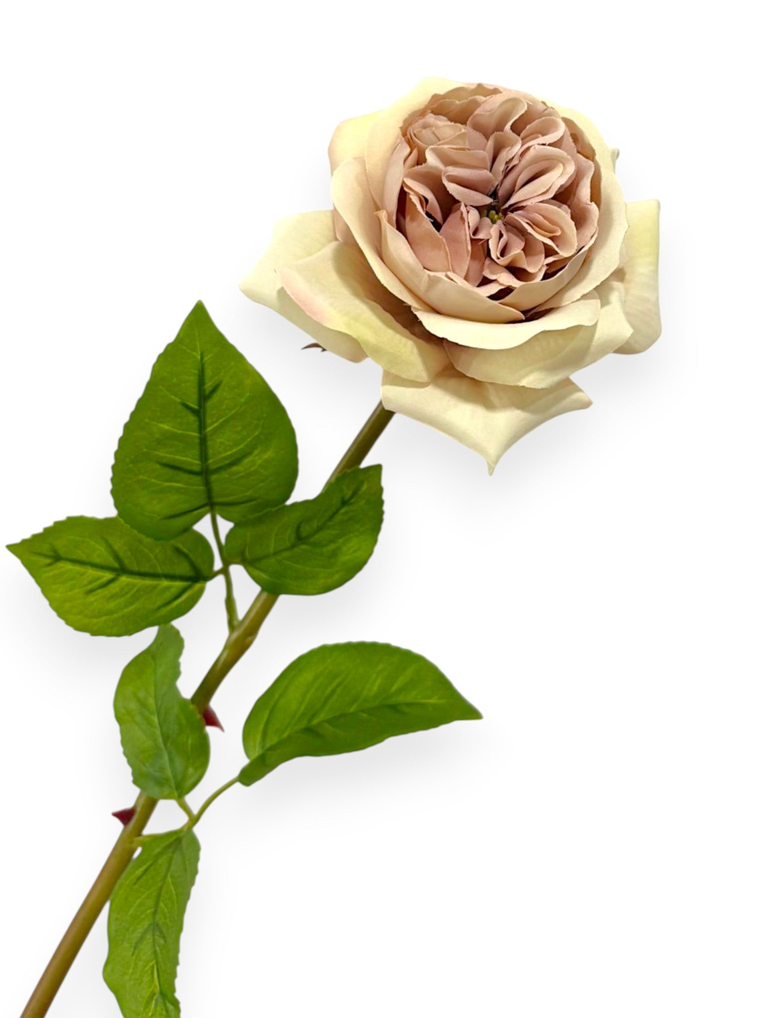 Garden Rose Stem 23"