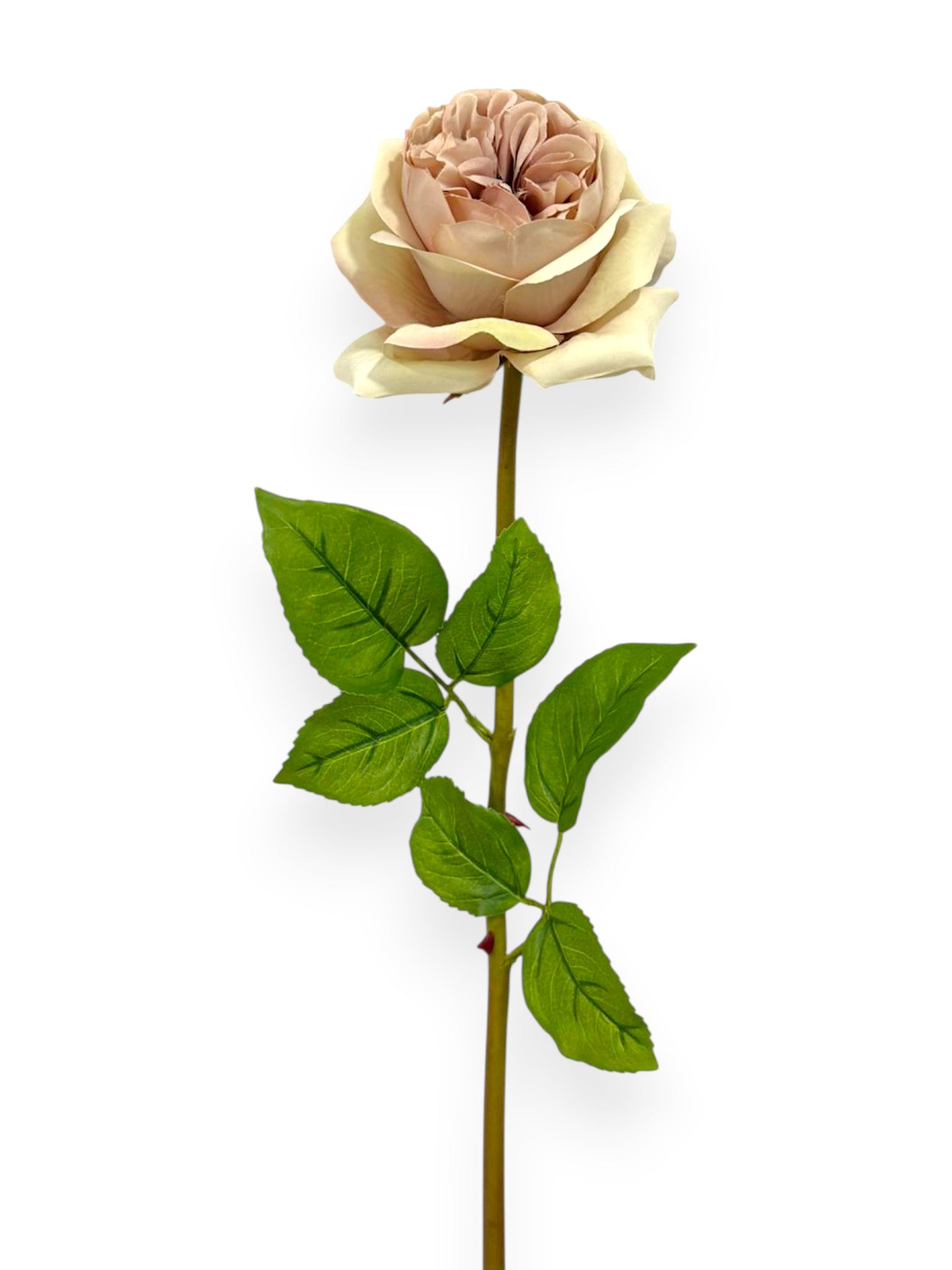 Garden Rose Stem 23"