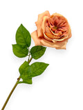 Garden Rose Stem 23"