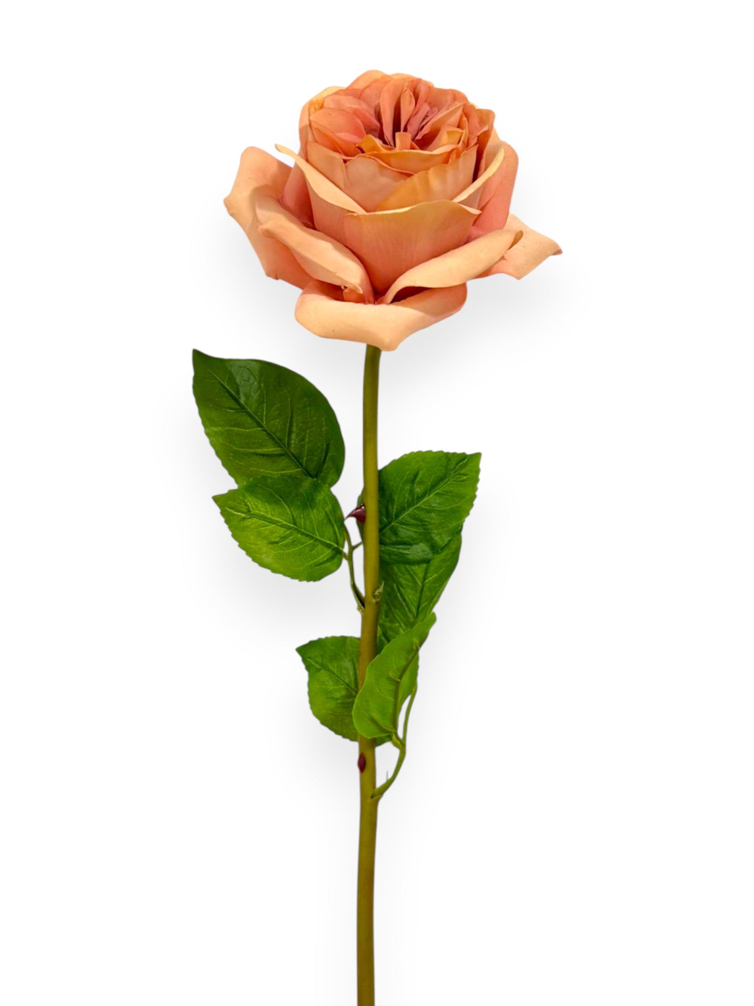 Garden Rose Stem 23"