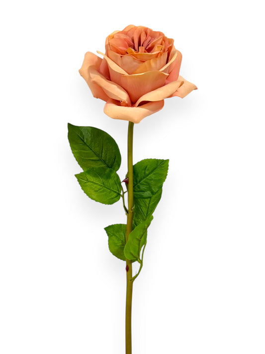 Garden Rose Stem 23"