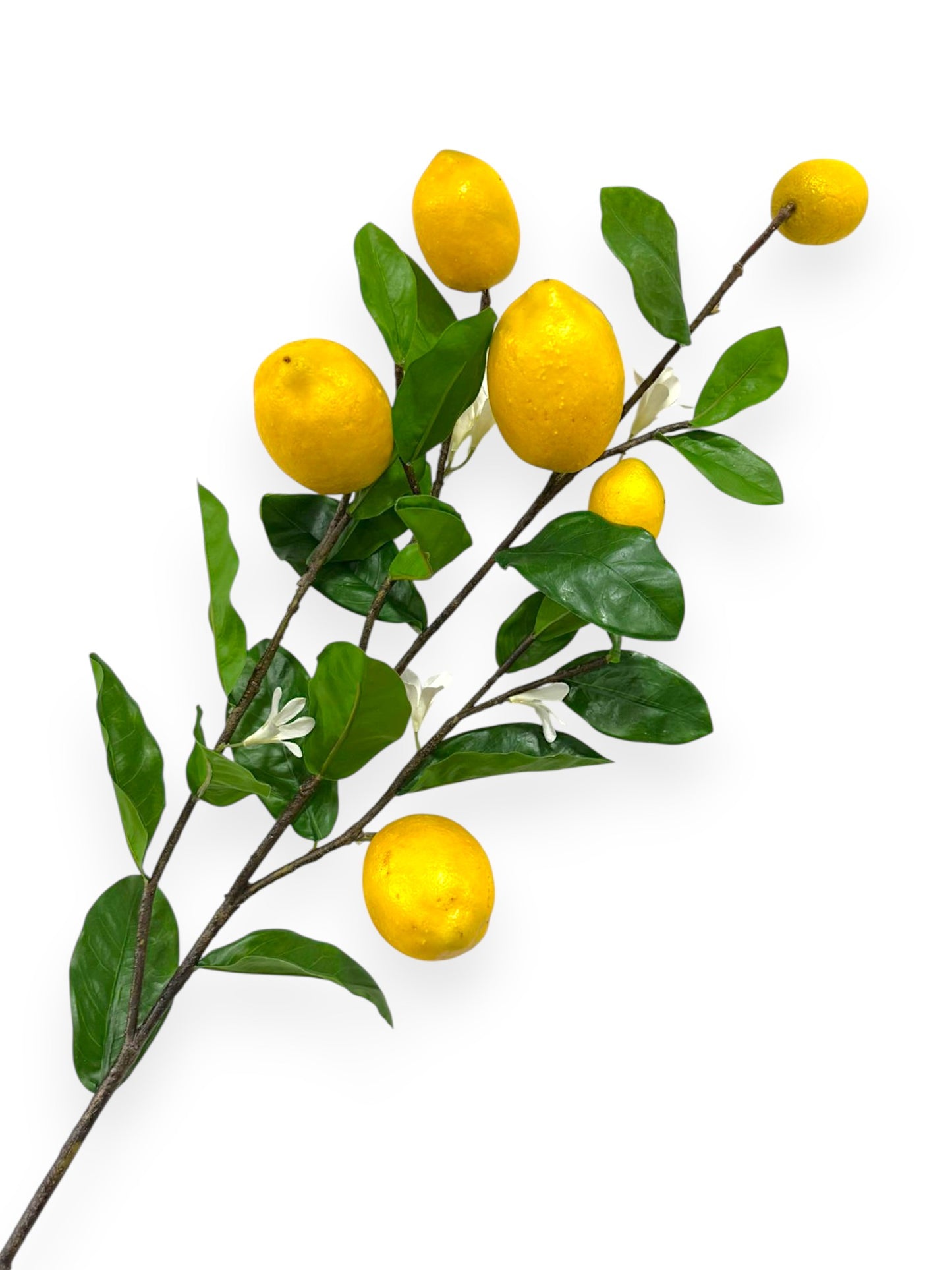 Lemon Spray with Fruits 38"