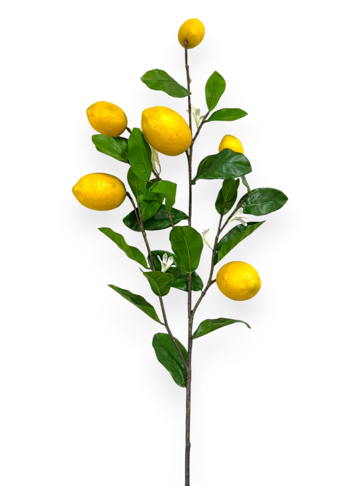 Lemon Spray with Fruits 38"