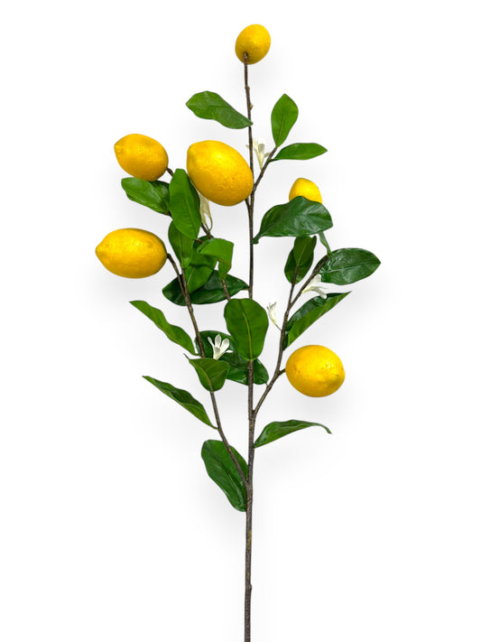 Lemon Spray with Fruits 38"