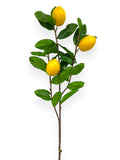 Lemon Spray 40"