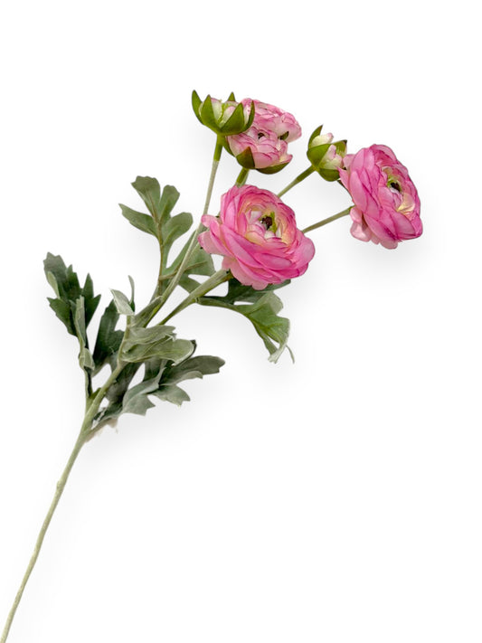 Ranunculus Spray 27"
