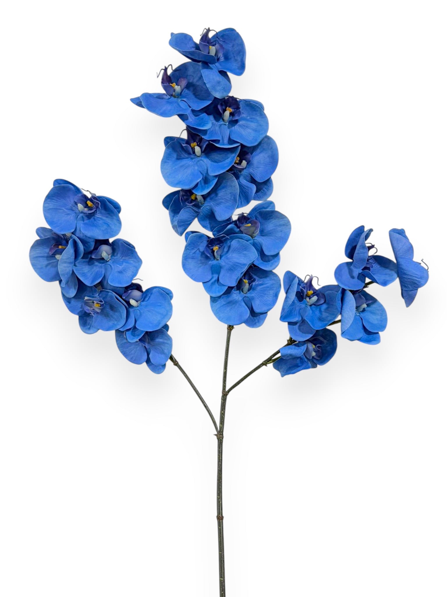 Orchid Phalaenopsis Spray x3 41"