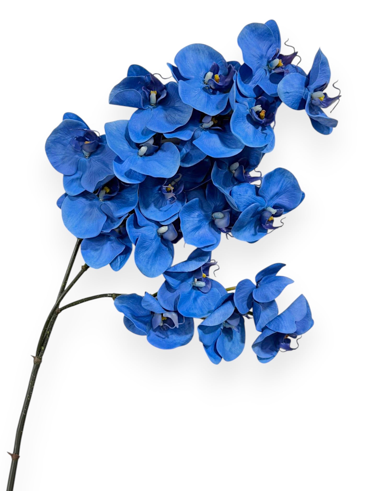 Orchid Phalaenopsis Spray x3 41"