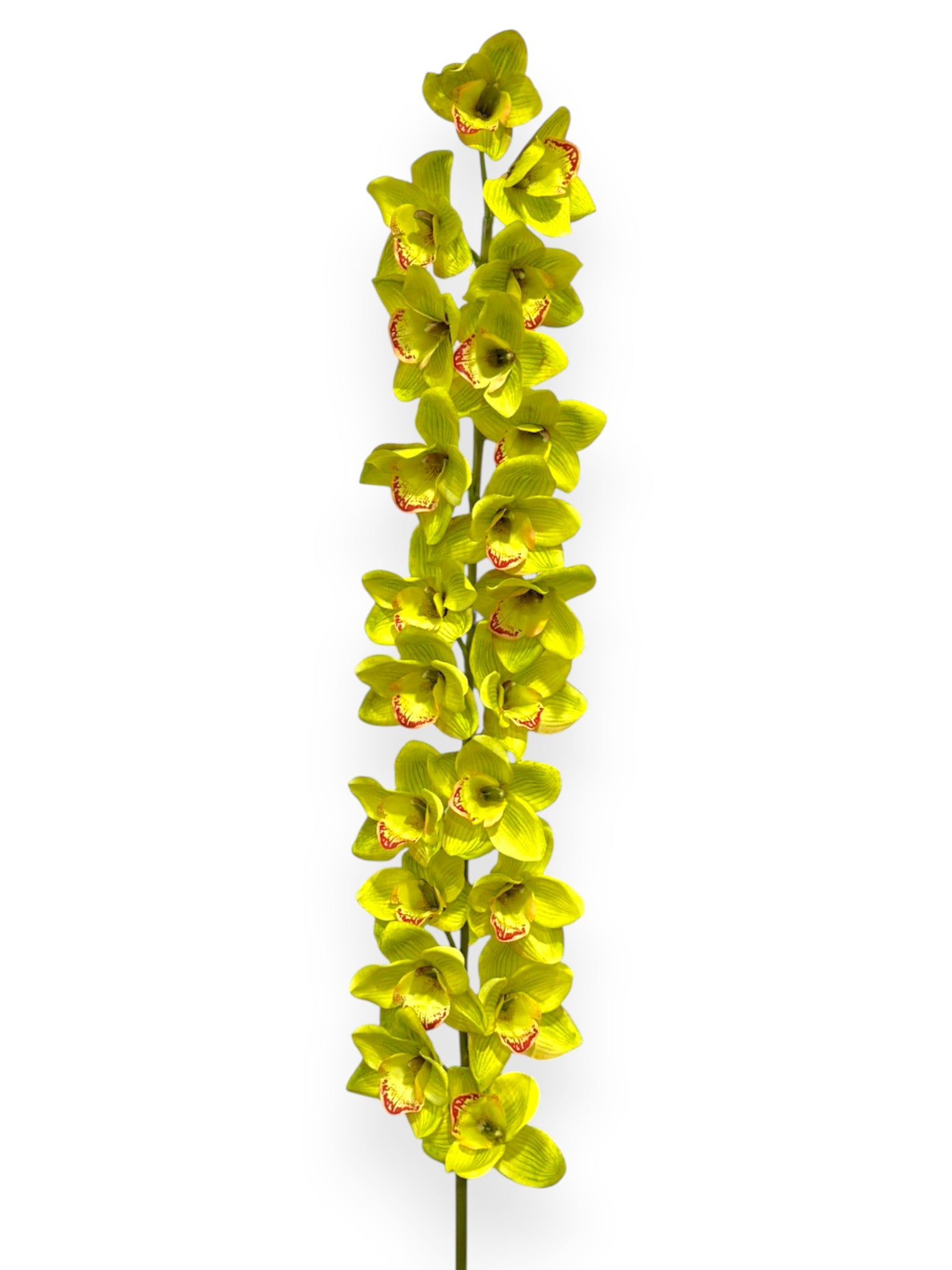 Orchid Large Stem 5ft