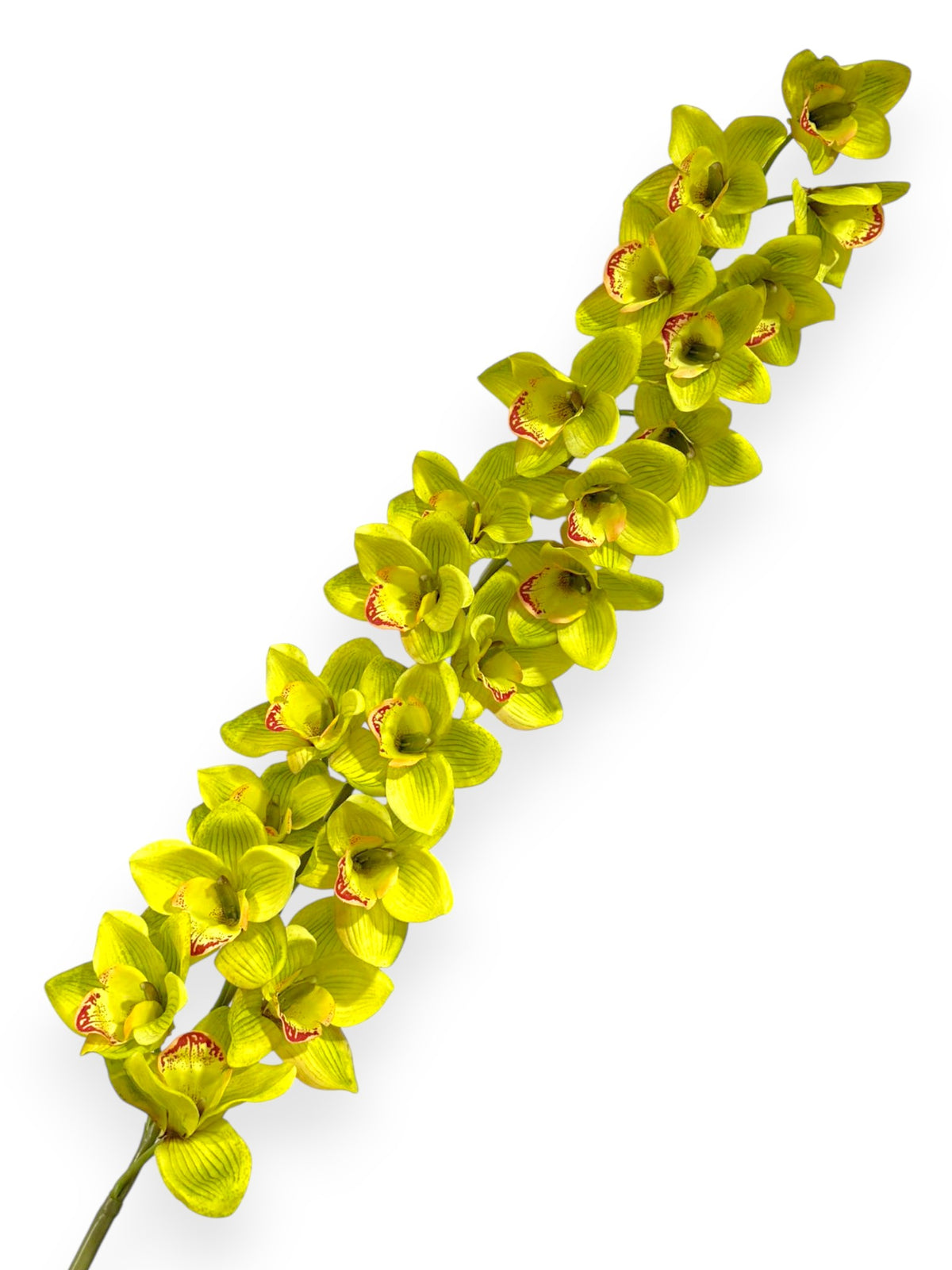 Orchid Large Stem 5ft – Chan's Silk Flowers, inc