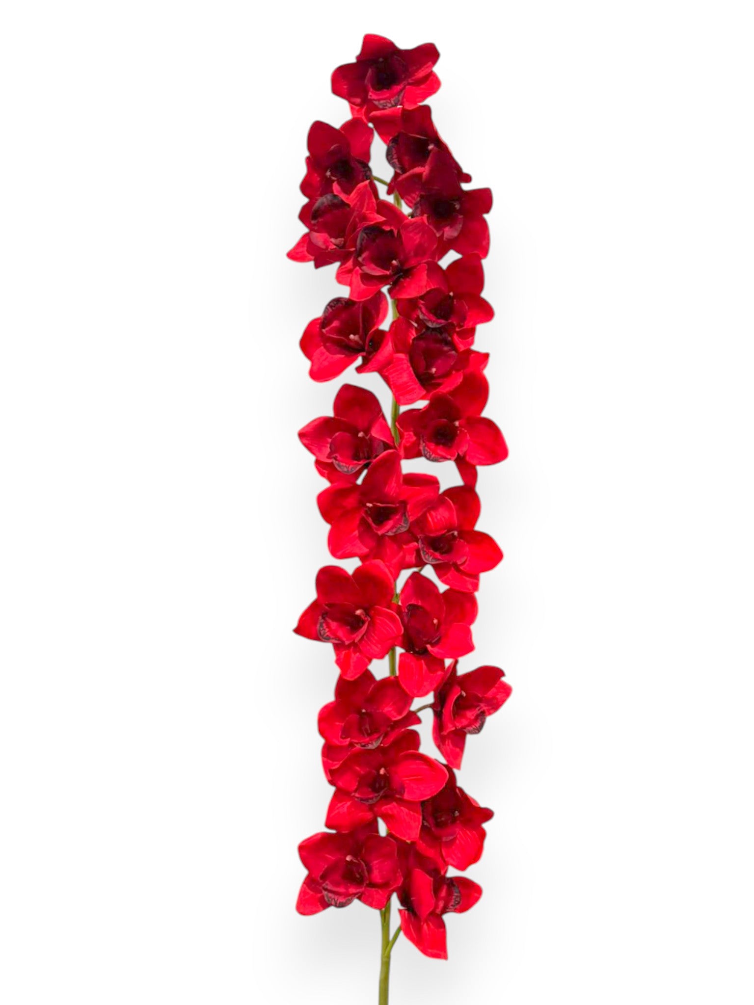 Orchid Large Stem 5ft