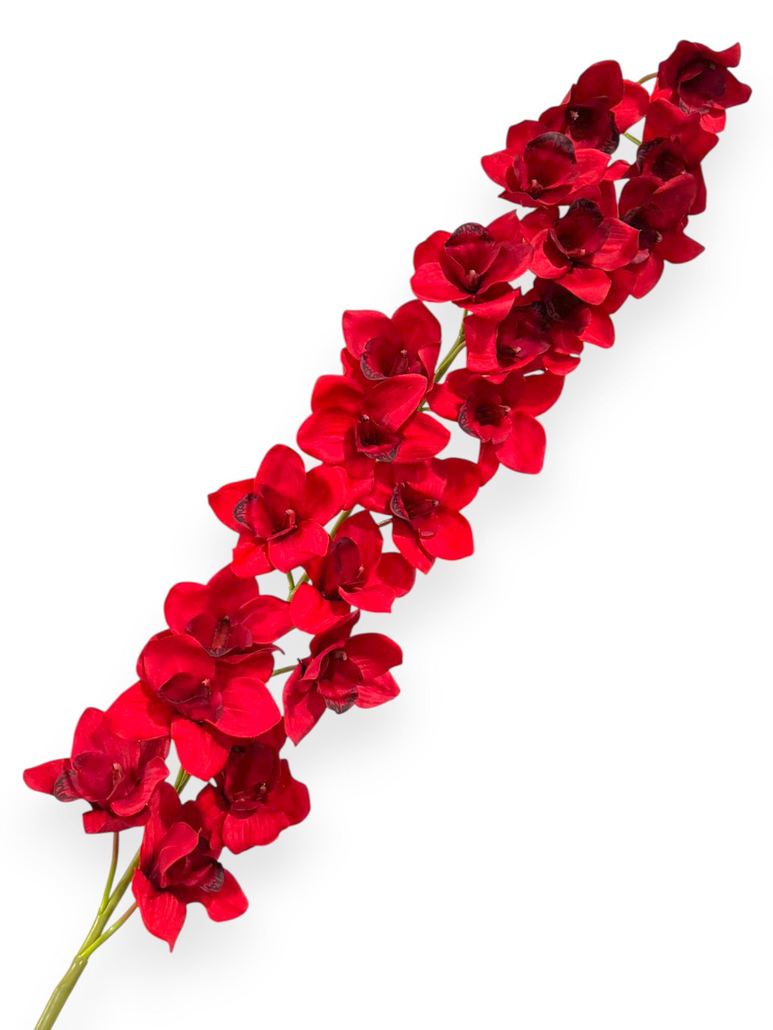 Orchid Large Stem 5ft