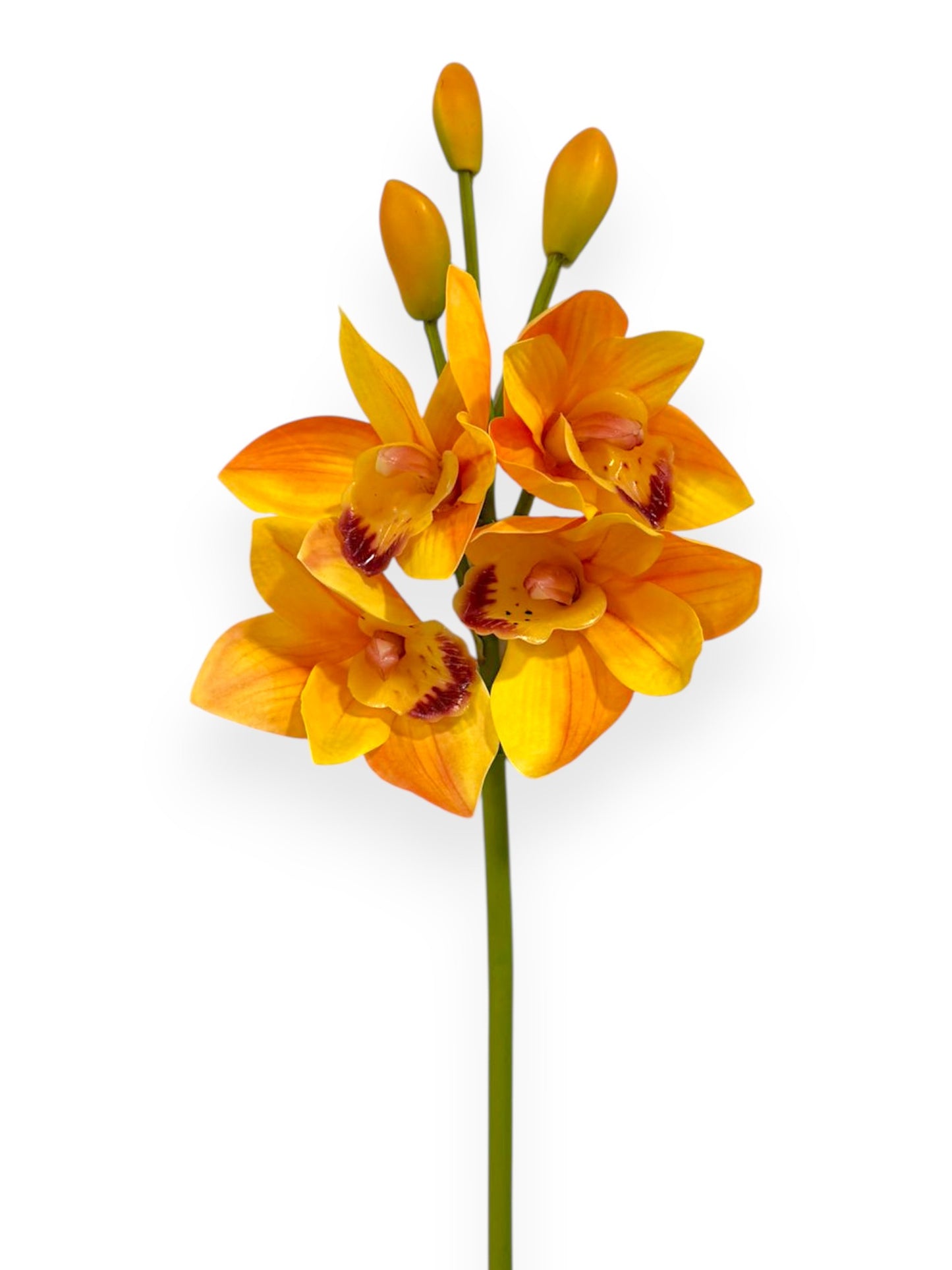 Cymbidium Orchid Stem 19"