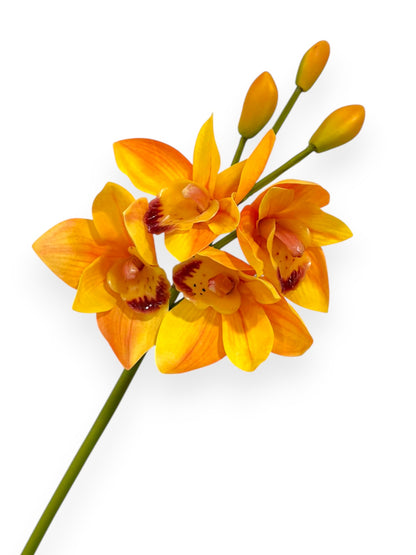 Cymbidium Orchid Stem 19"