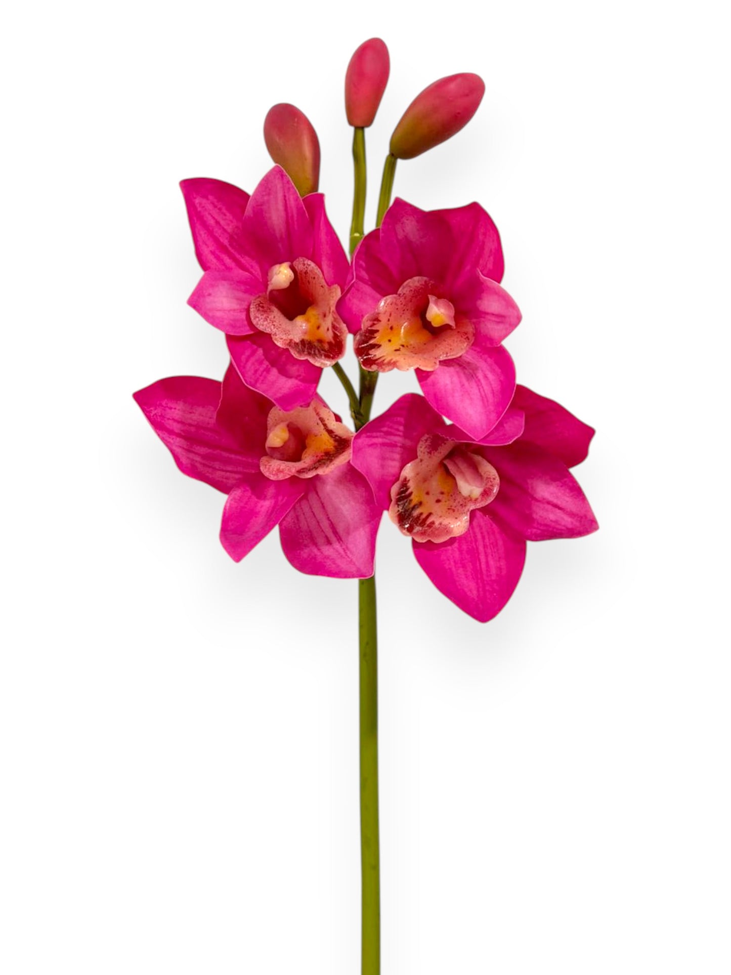 Cymbidium Orchid Stem 19"