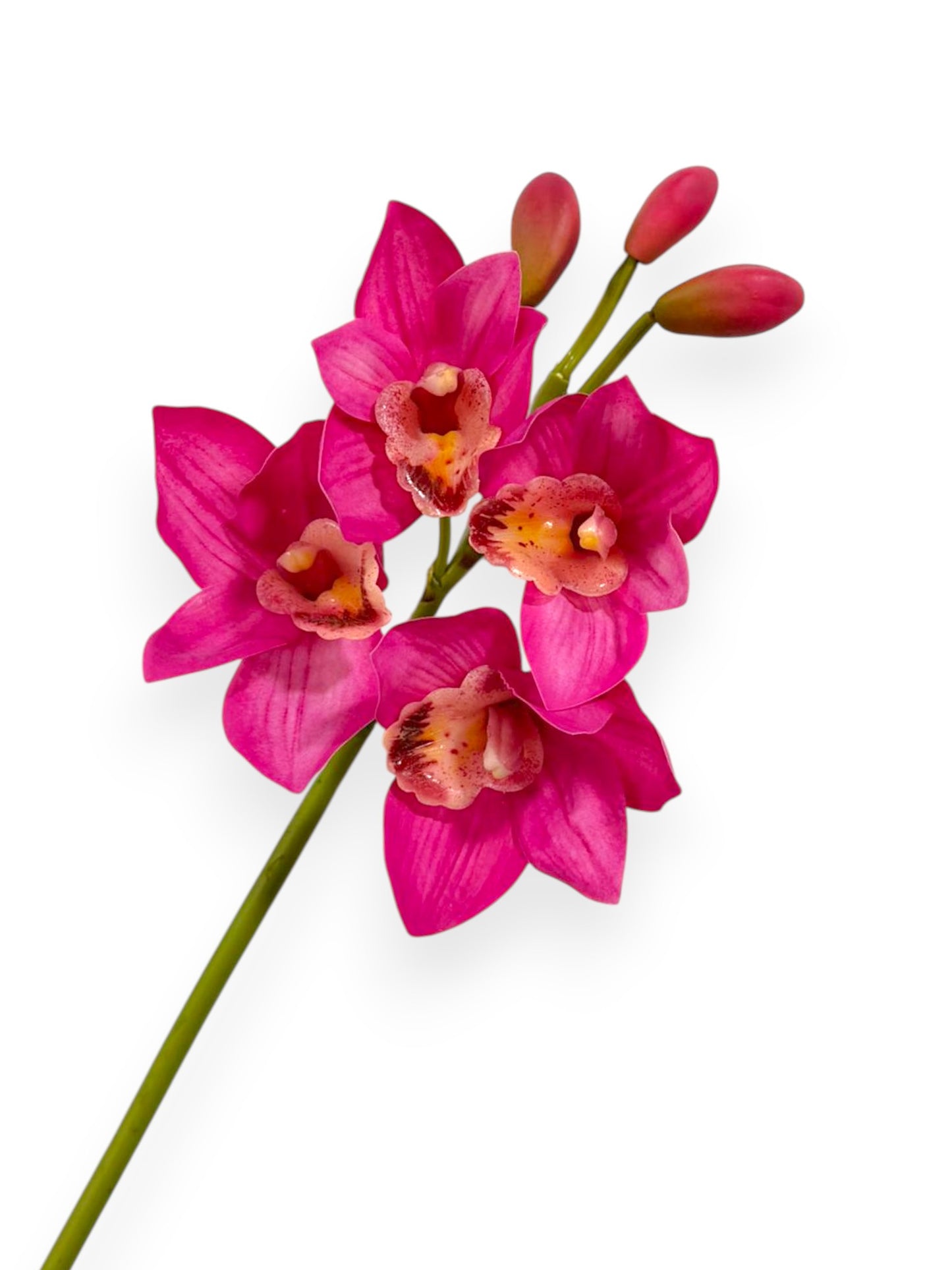 Cymbidium Orchid Stem 19"
