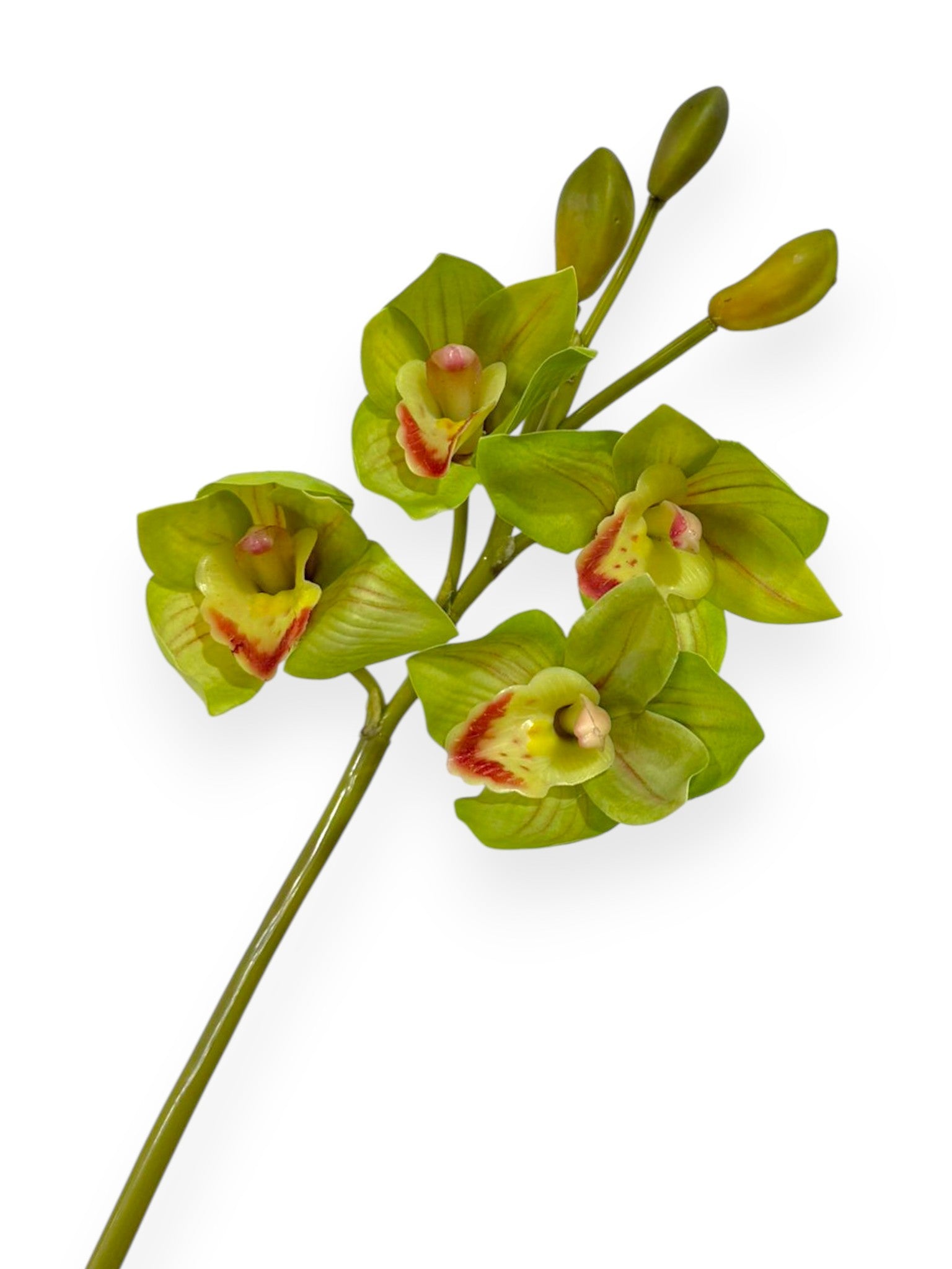Cymbidium Orchid Stem 19"