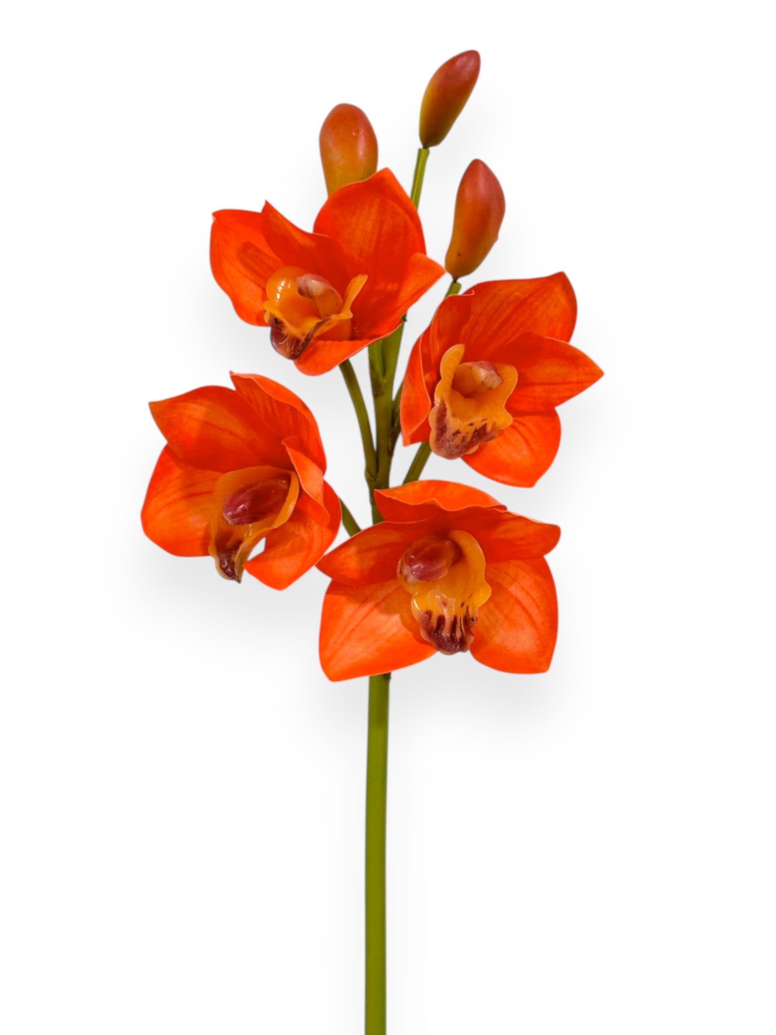 Cymbidium Orchid Stem 19"