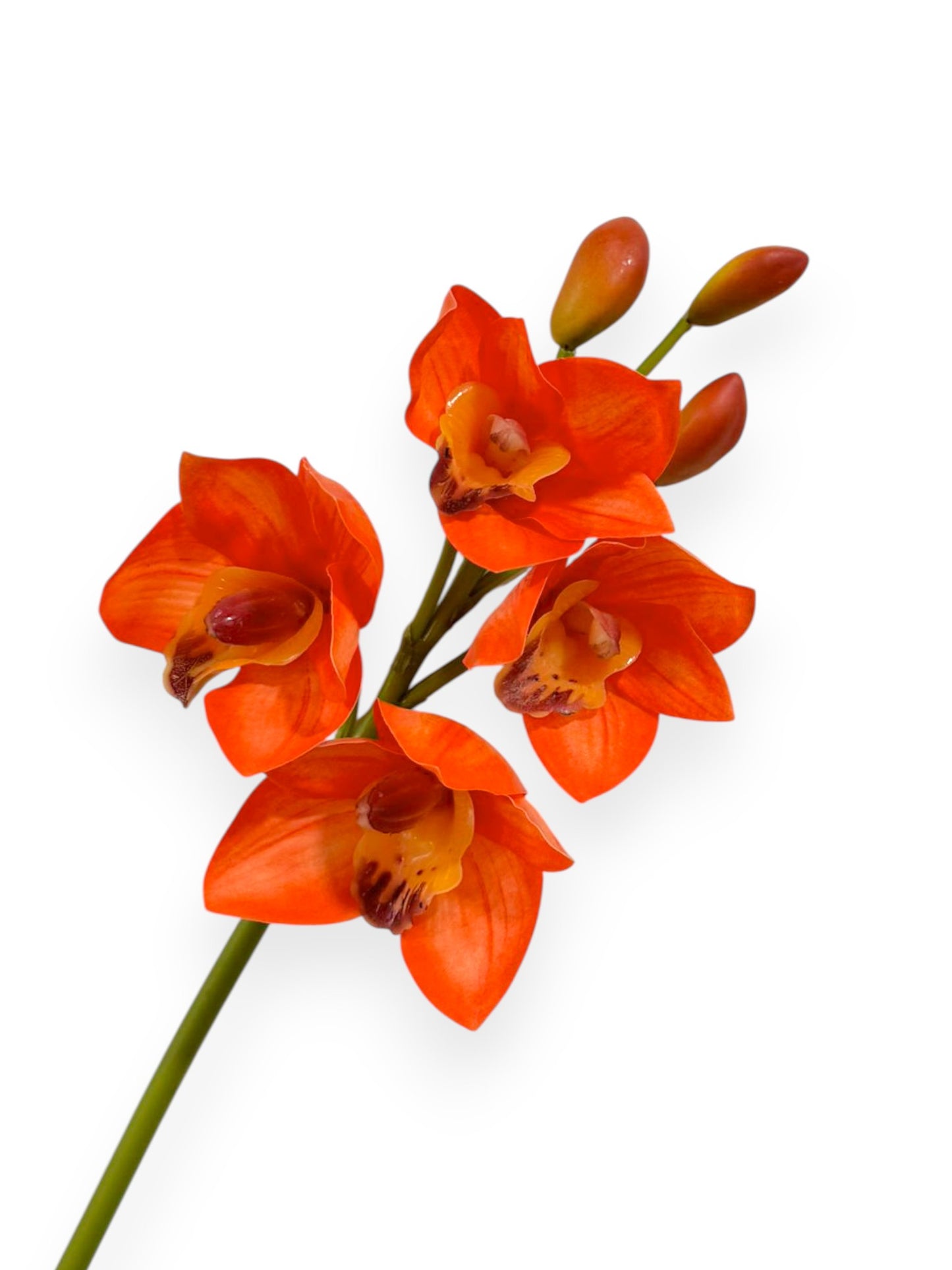 Cymbidium Orchid Stem 19"