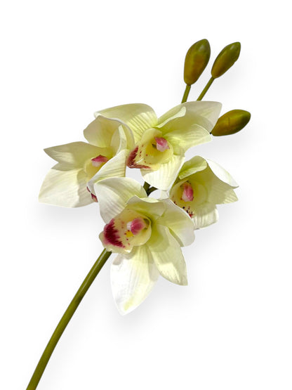 Cymbidium Orchid Stem 19"