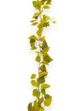 Fall Leaf Garland 6.5 FT