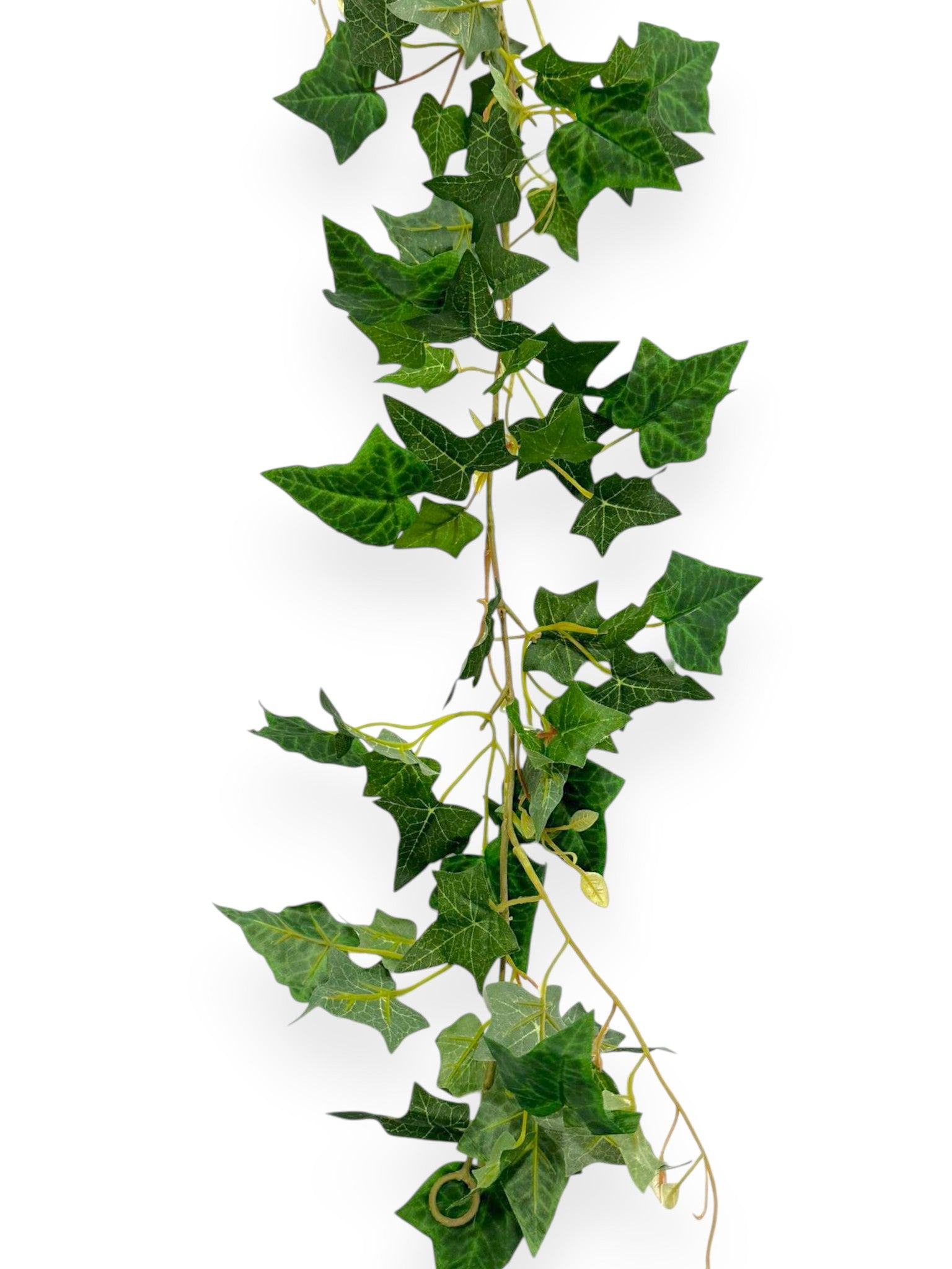 Ivy Vine Garland 6 FT