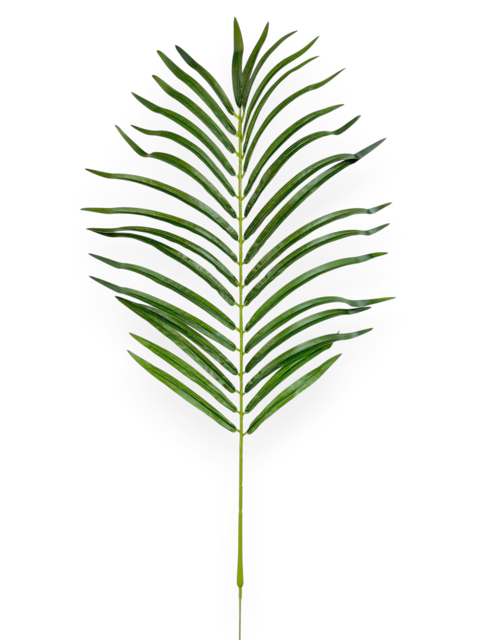 Palm Leaf 31"