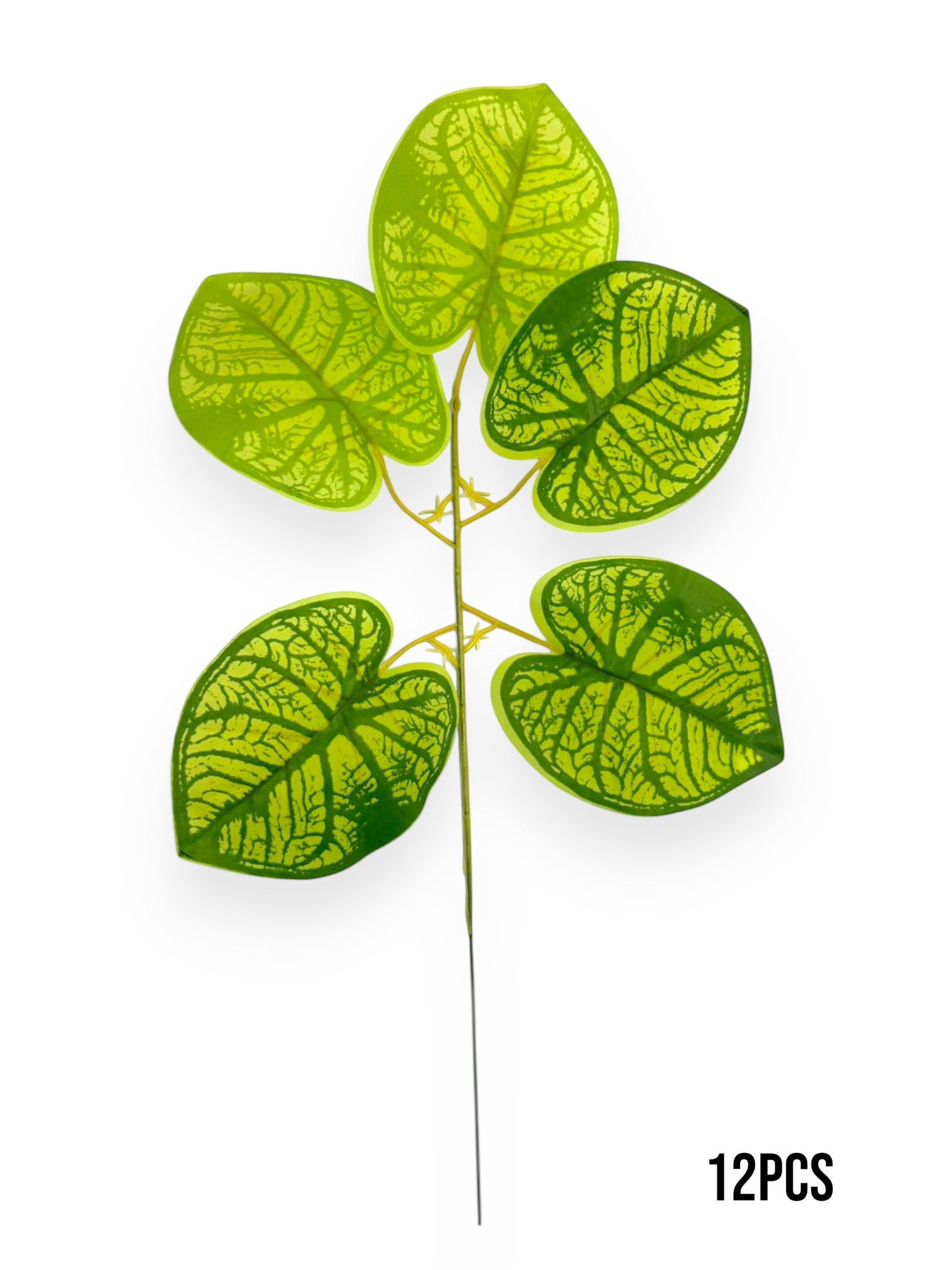 Caladium Leaf Spray 17" (12pcs)