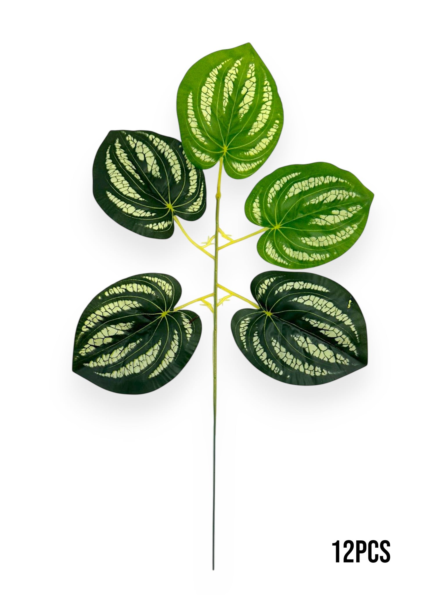 Peperomia Leaf Spray 17" (12pcs)